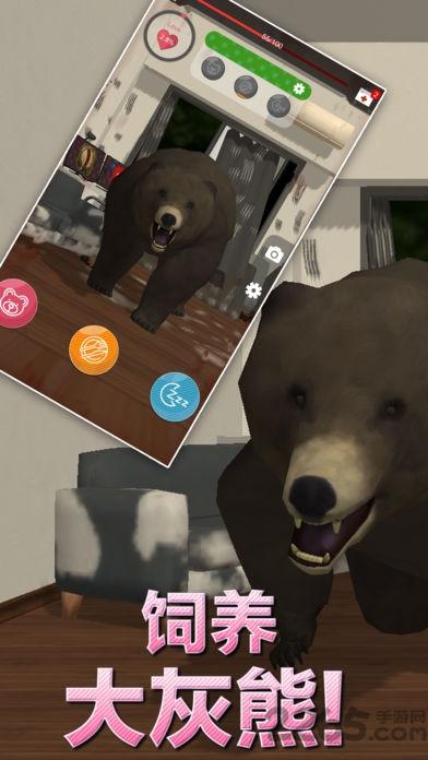 家有大灰熊内购破解版下载,家有大灰熊,灰熊游戏,宠物游戏